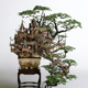 Illustration for article titled Artist transforms bonsai trees and empty cans into insane Lilliputian cities